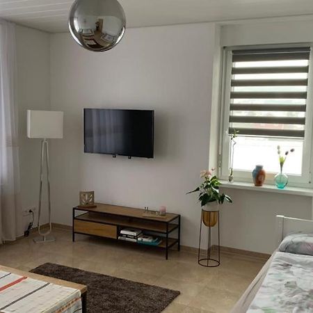 Grenznahe Ferienwohnung Mit 4 Schlafzimmern Grenzach-Wyhlen Exteriör bild