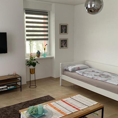 Grenznahe Ferienwohnung Mit 4 Schlafzimmern Grenzach-Wyhlen Exteriör bild