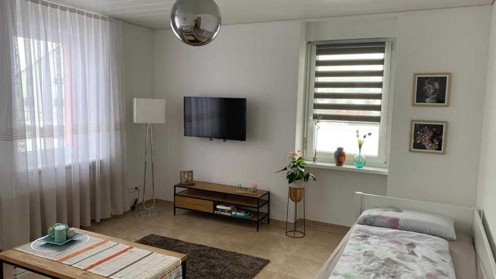 Grenznahe Ferienwohnung Mit 4 Schlafzimmern Grenzach-Wyhlen Exteriör bild