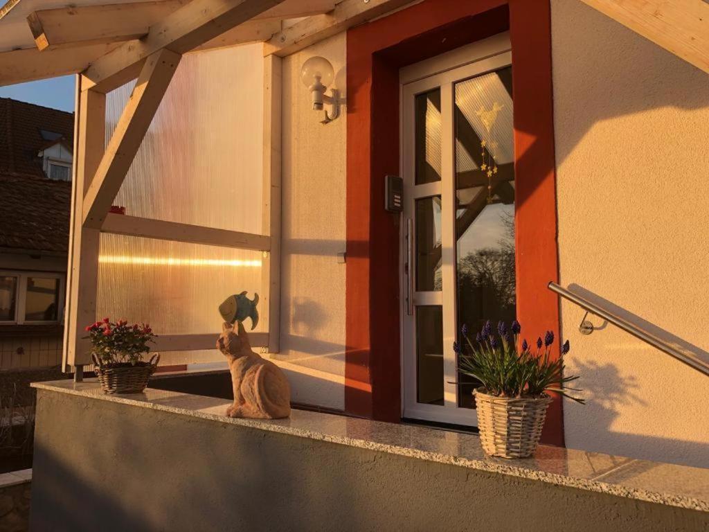 Grenznahe Ferienwohnung Mit 4 Schlafzimmern Grenzach-Wyhlen Exteriör bild