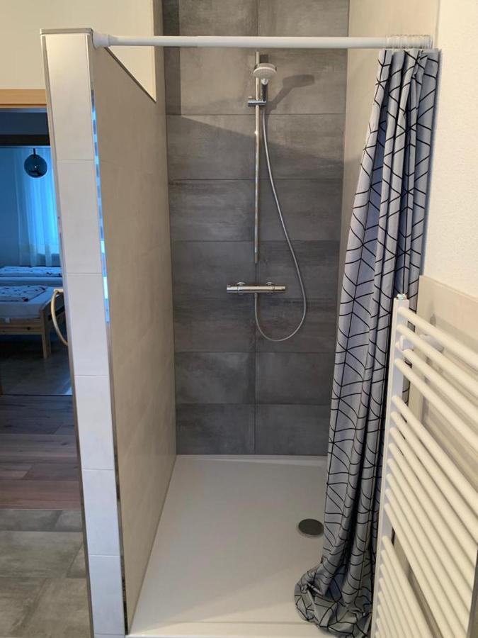 Grenznahe Ferienwohnung Mit 4 Schlafzimmern Grenzach-Wyhlen Exteriör bild