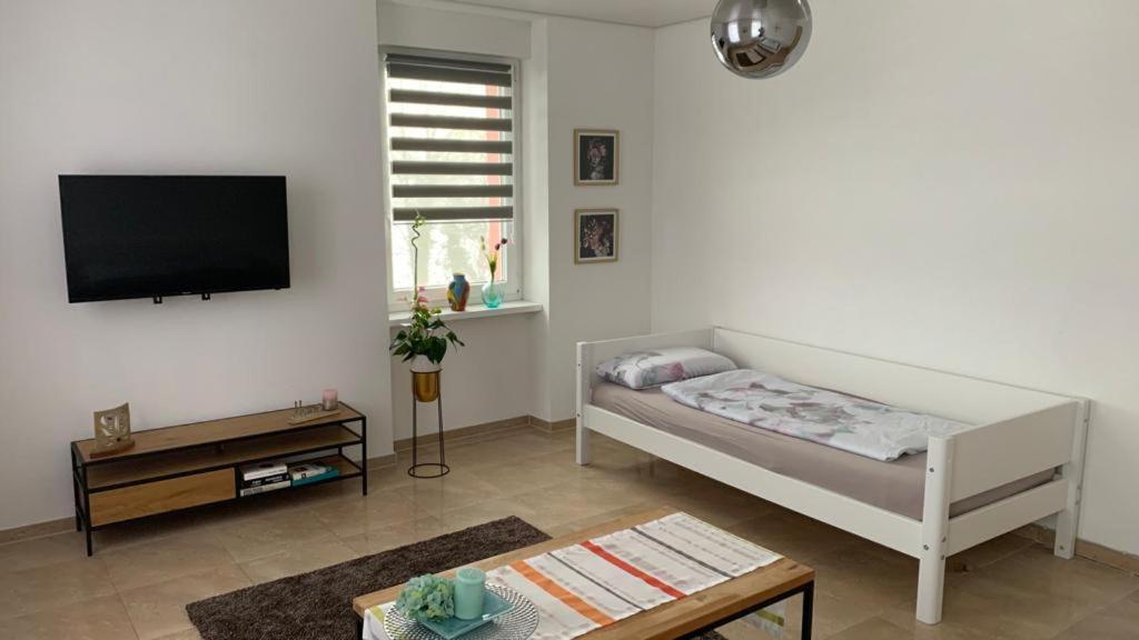 Grenznahe Ferienwohnung Mit 4 Schlafzimmern Grenzach-Wyhlen Exteriör bild